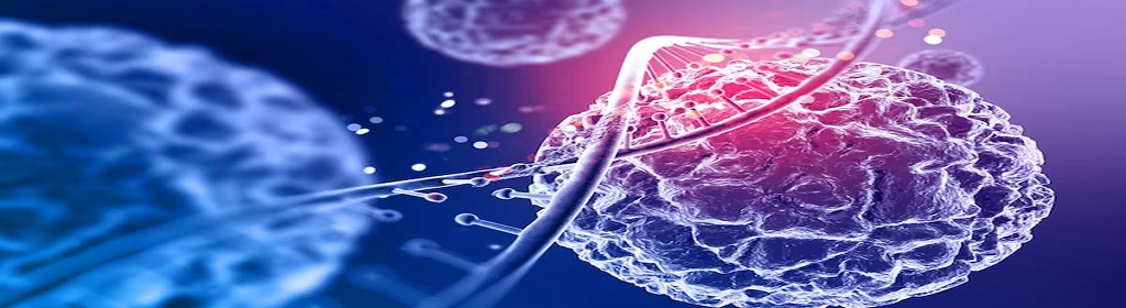 European Oncology Conference 2026